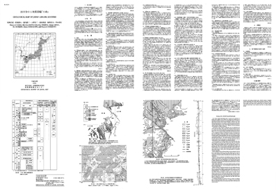 サムネイル画像：解説面