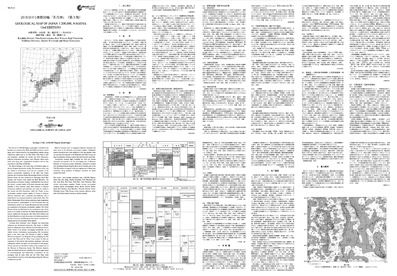 サムネイル画像：解説面