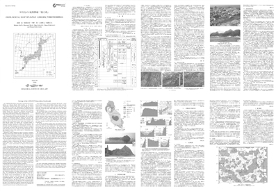 サムネイル画像：解説面