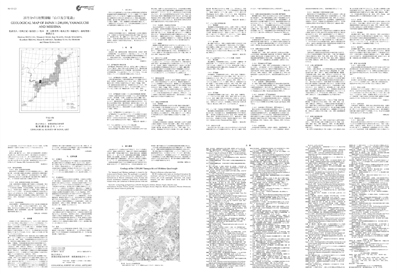 サムネイル画像：解説面