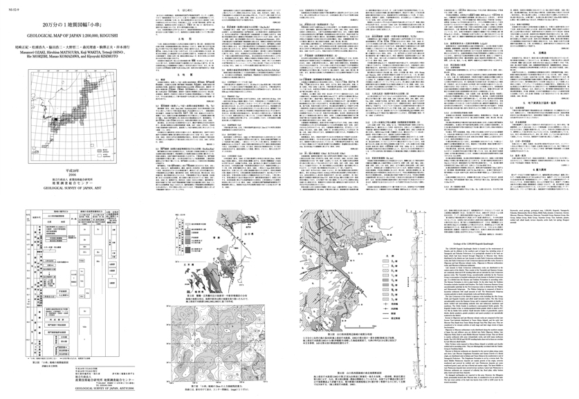 サムネイル画像：解説面