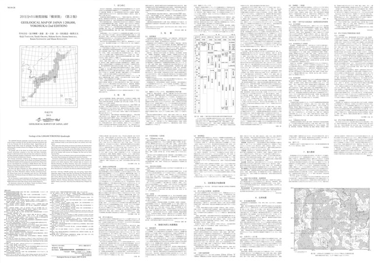 サムネイル画像：解説面