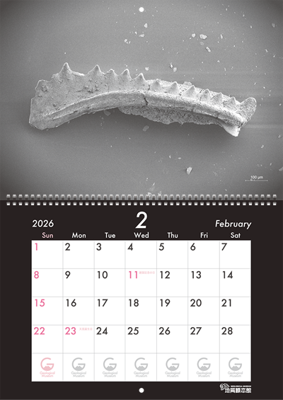 地質標本館オリジナルカレンダー（2026年）