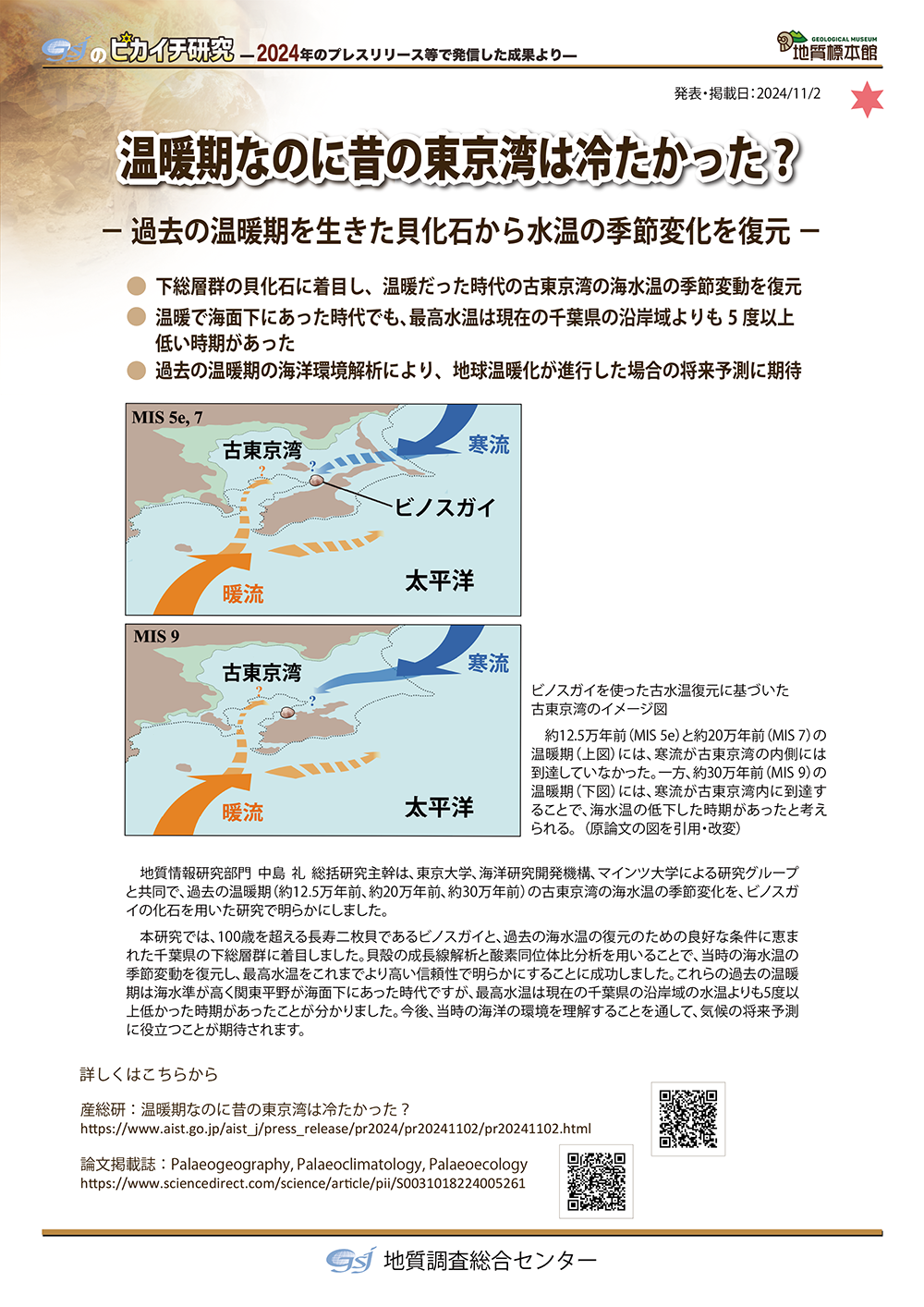 温暖期なのに昔の東京湾は冷たかった？
― 過去の温暖期を生きた貝化石から水温の季節変化を復元 ―