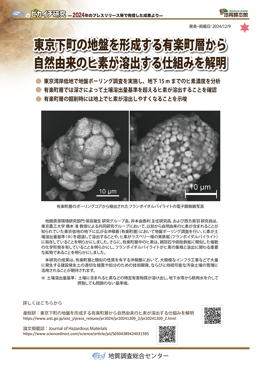 東京下町の地盤を形成する有楽町層から自然由来のヒ素が溶出する仕組みを解明