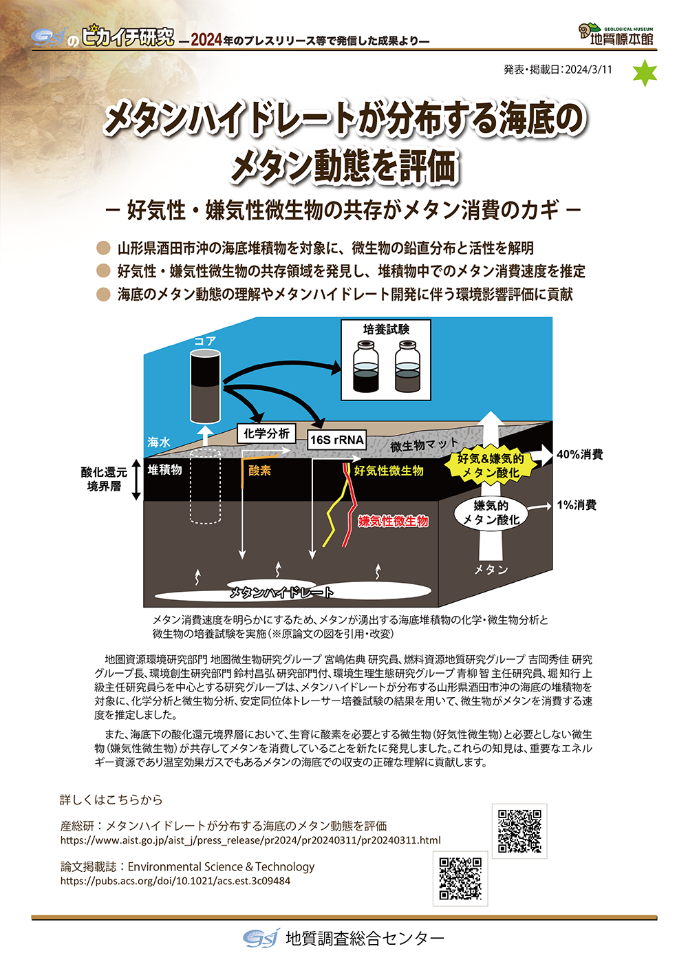 メタンハイドレートが分布する海底のメタン動態を評価
― 好気性・嫌気性微生物の共存がメタン消費のカギ ―