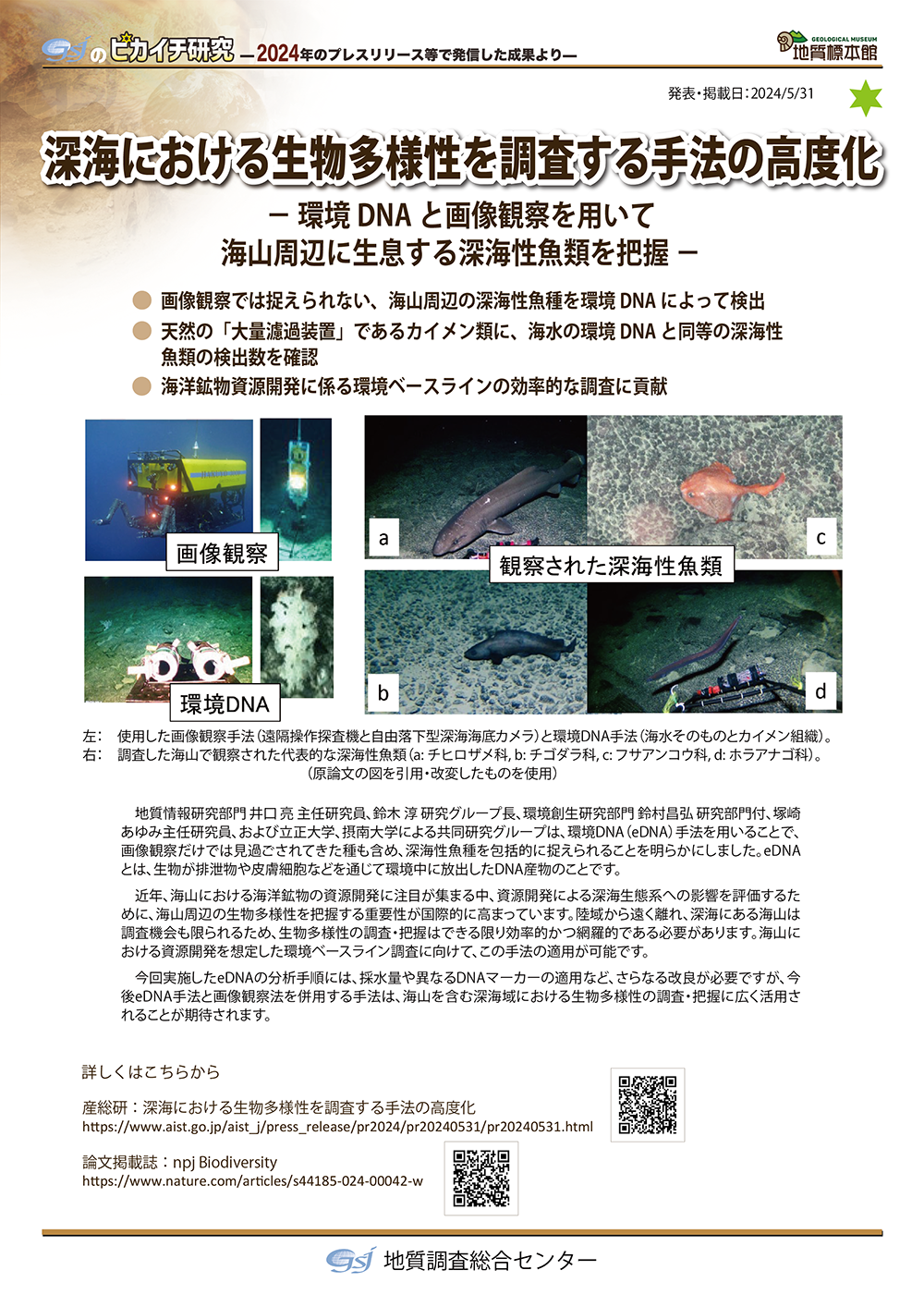 深海における生物多様性を調査する手法の高度化
― 環境DNAと画像観察を用いて海山周辺に生息する深海性魚類を把握 ―