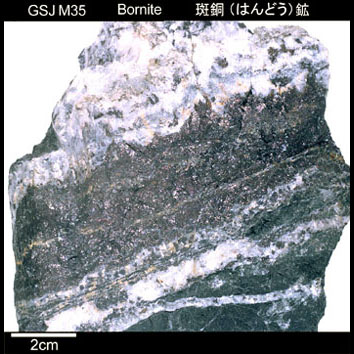 Bornite