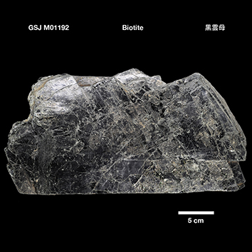 Biotite