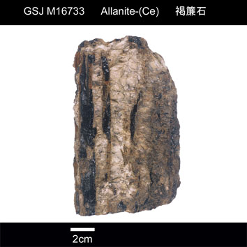 Allanite-(Ce)