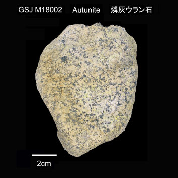 Autunite