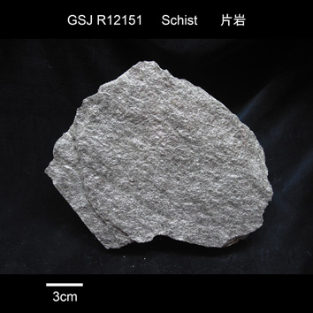 黒雲母角閃石含有緑泥石柘榴石白雲母片岩
