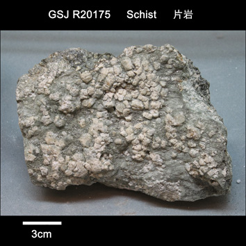 曹長石斑状緑泥石白雲母角閃石片岩