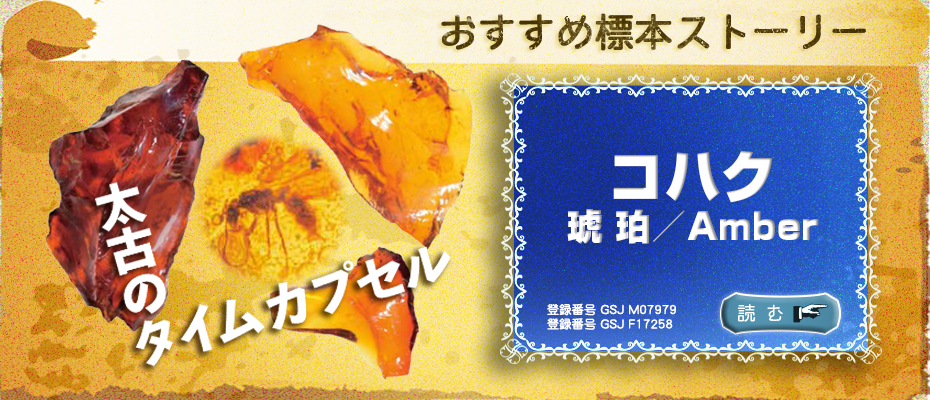 地質標本館 おすすめ標本ストーリー