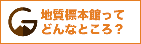 地質標本館ってどんなところ？