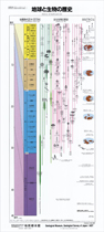 地球と生物の歴史（年表）