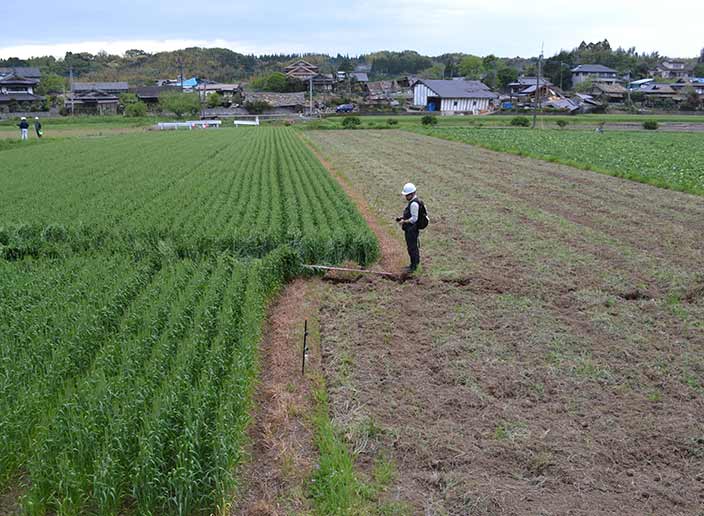 平成28年（2016年）熊本地震