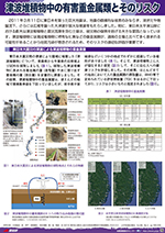 津波堆積物中の有害重金属類とそのリスク