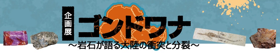 ゴンドワナ―岩石が語る大陸の衝突と分裂―