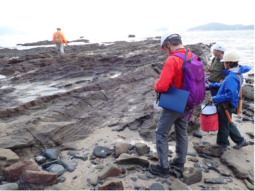 古第三紀層の露頭観察(西海岸)