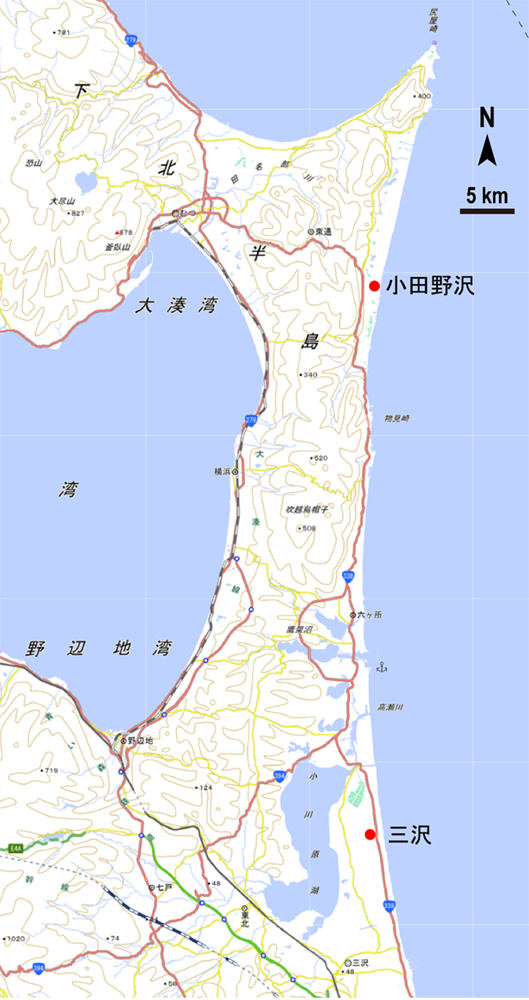 図1 東通村小田野沢と三沢市三沢の調査地点(基図には地理院地図を使用した)