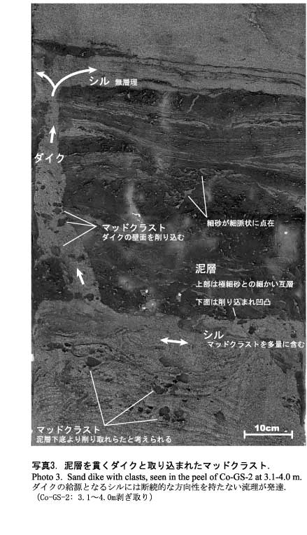 泥層を貫くダイクと取り込まれたマッドクラスト