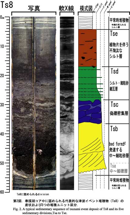 春採湖コアに認められる代表的な津波イベント堆積物の産状および５つの堆積ユニット区分