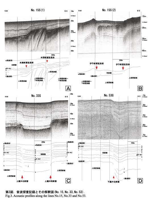 音波探査記録とその解釈図