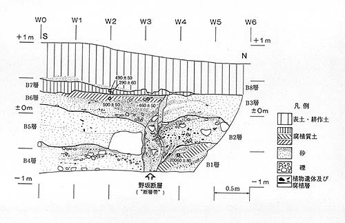 野坂断層の最新活動を示すトレンチ調査結果