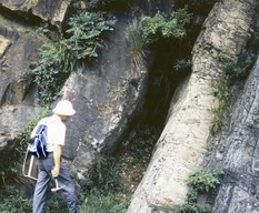 中朝地塊古生界中の平行上整合