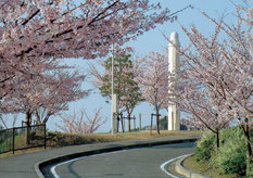 Mastuyama GPS observation station.