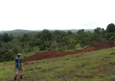 Bauxite prospect in the Bolaven Plateau