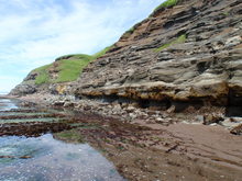 釧路海岸に露出する浦幌(うらほろ)層群