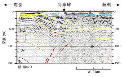 新潟沿岸域の陸海接合の反射断面